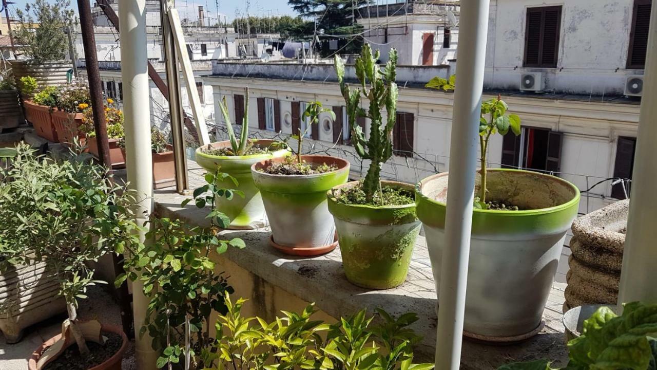 Apartamento Robta's Dream