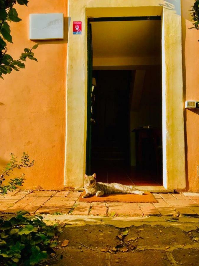 Casale Appio Casa de hóspedes