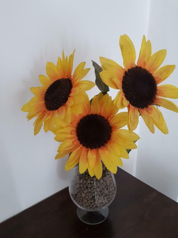 Appartamento House Eur 2 *