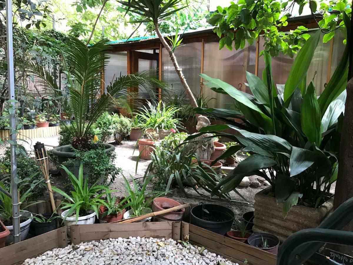 La Casa Di Elena Casa de hóspedes *