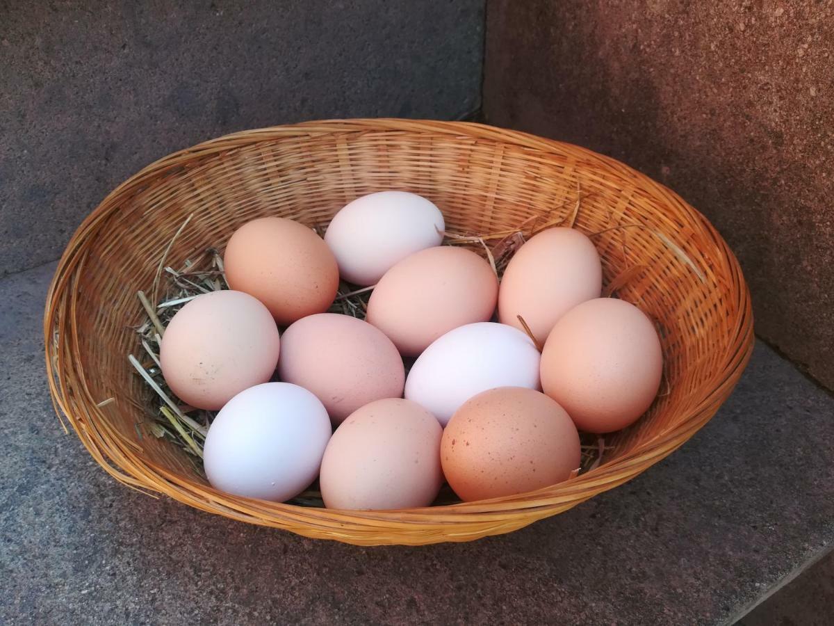 Il Baffetto Acomodação com café da manhã  Roma