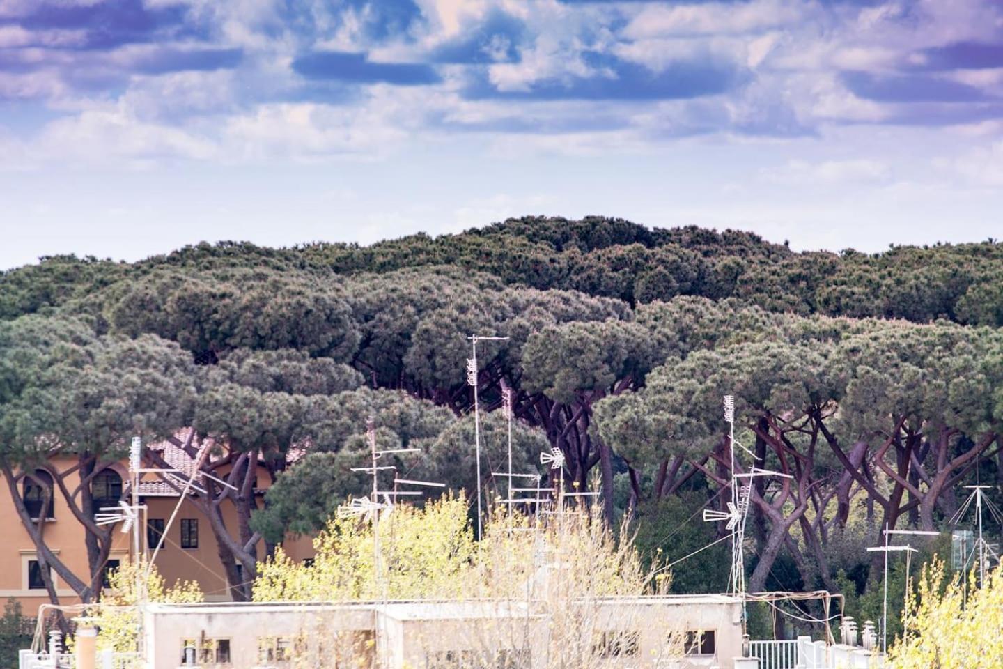 *****amorhome***** New Luxury In The Heart Of Apartamento *