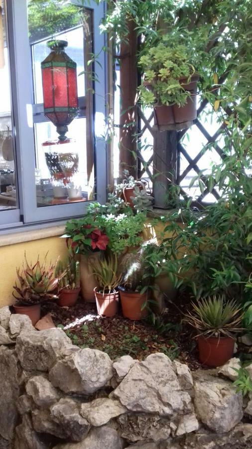 L'attico Incantato - A San Pietro - Casa vacanze Roma