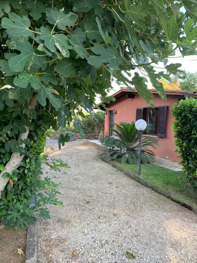 La Casa Di Irene Nel Golf Club * Roma