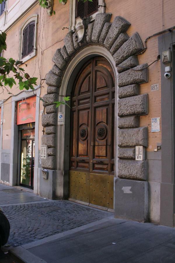 Hazelrome Roma