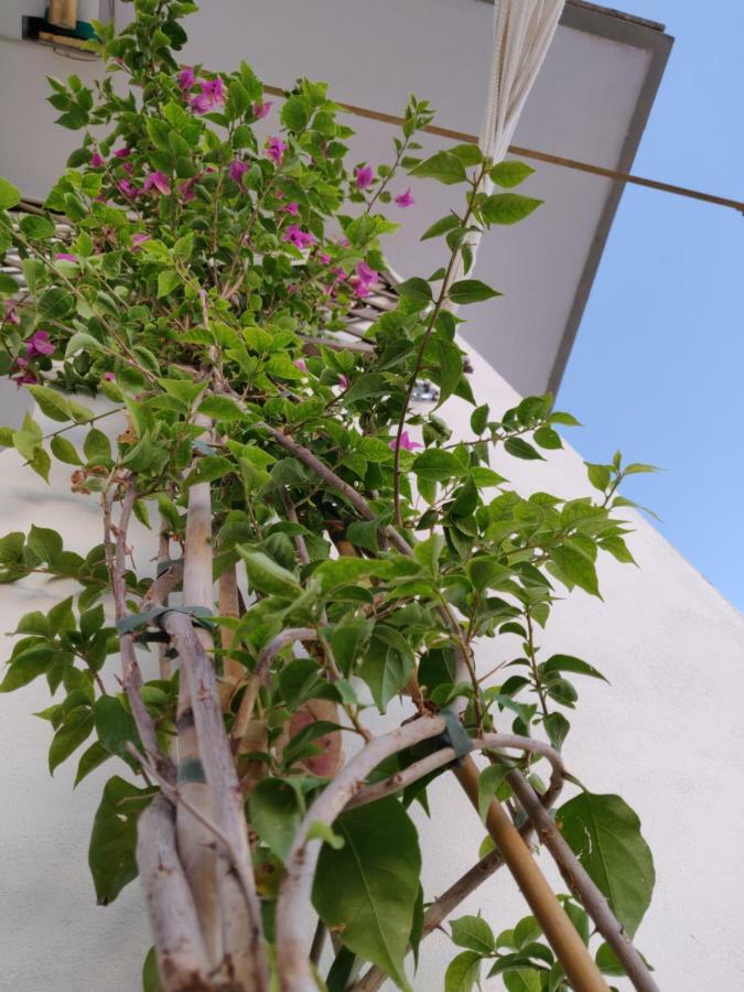 Appartamento La Terrazza Di Gregorio *