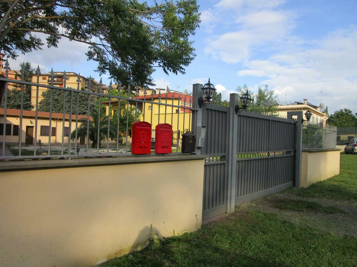 Aurelia Sweet Roma