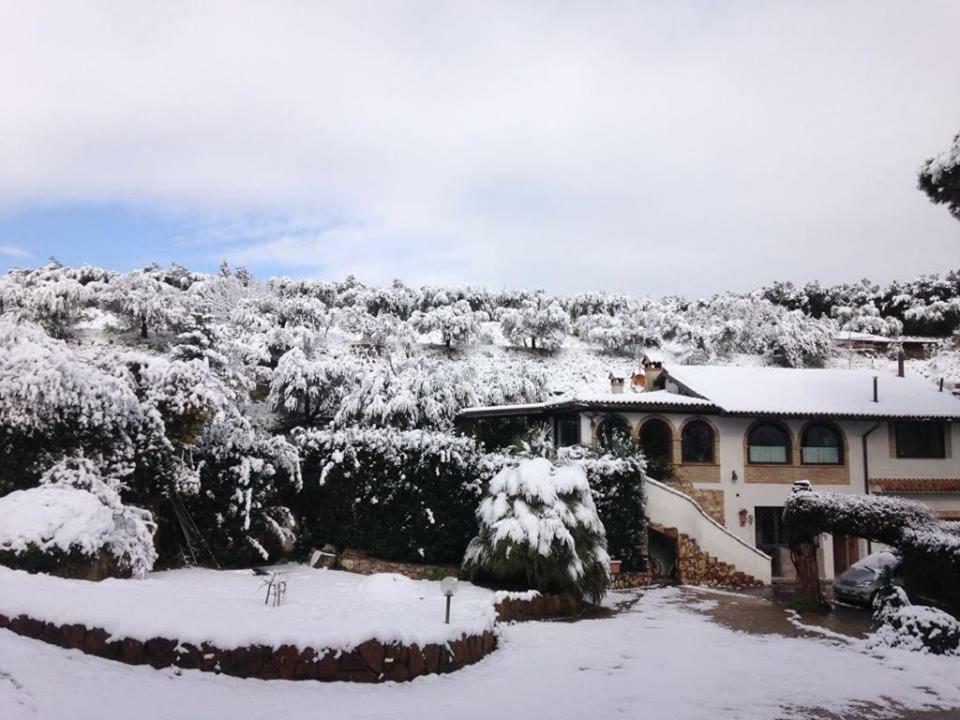 Casa de hóspedes Pepe *
