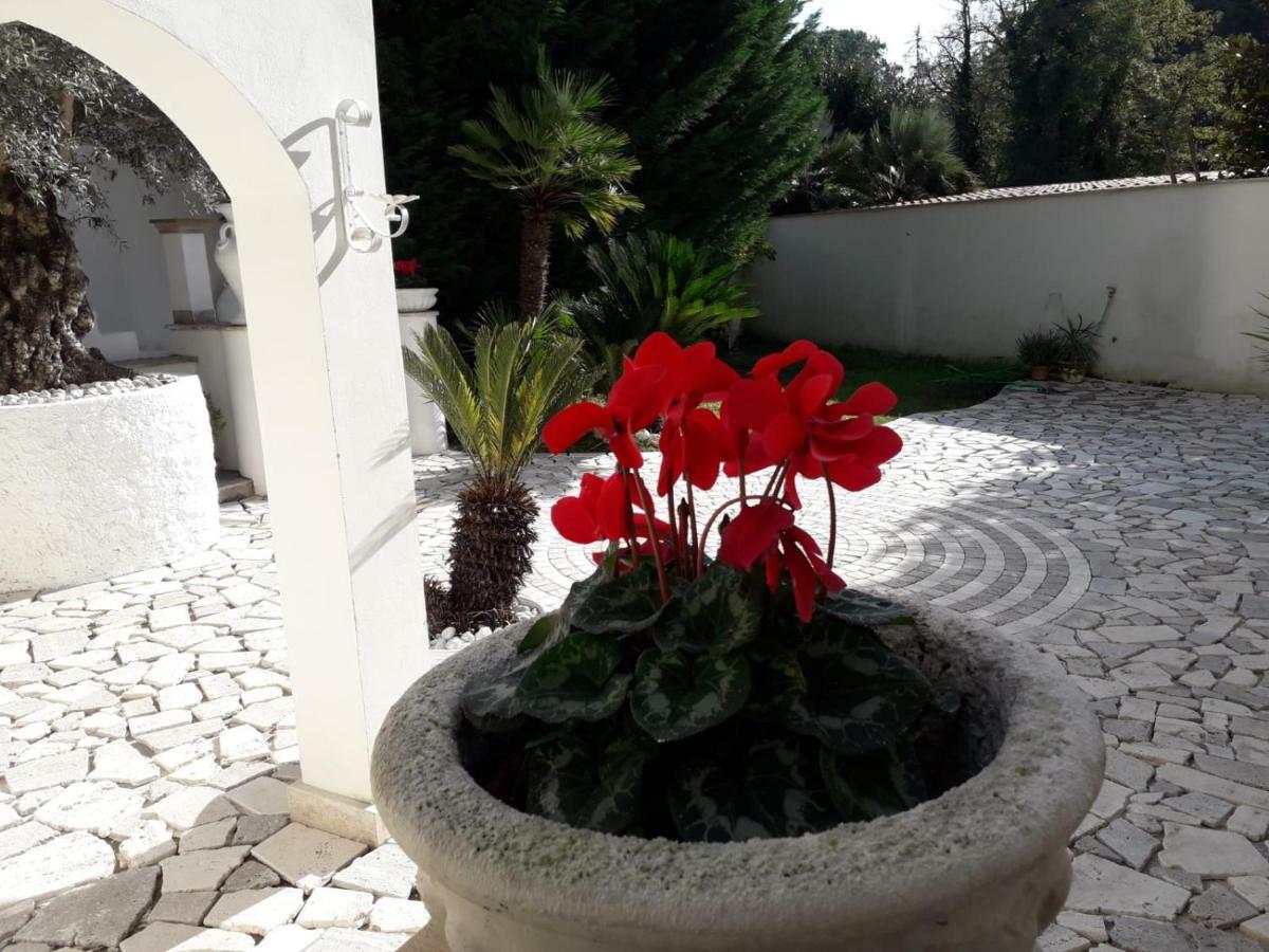 Casa vacanze Romana Roma