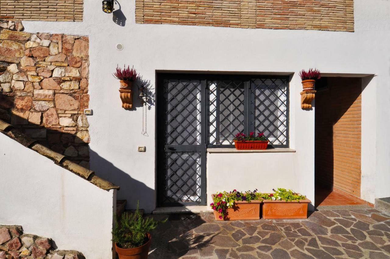 Casa de hóspedes Pepe Roma