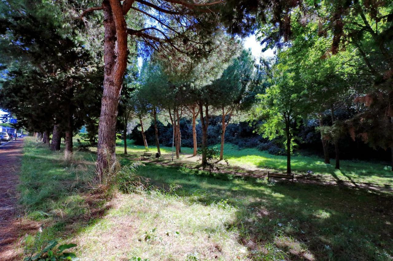 Appartamento Aurelia Relax