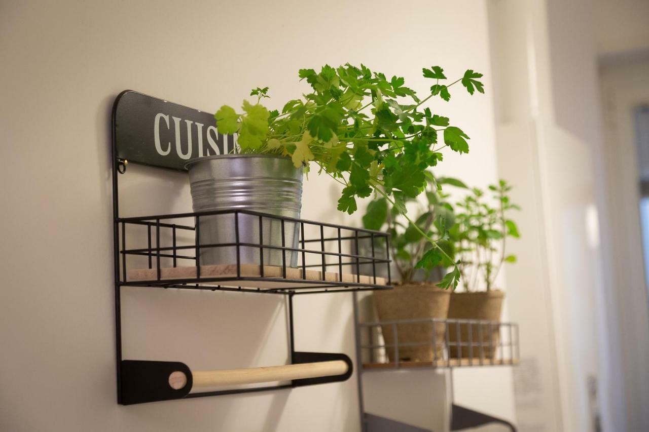 Apartment Guestart Monti