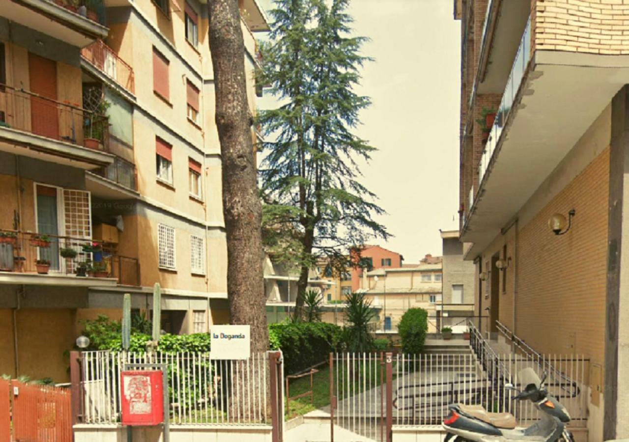 Il Dogandiere Roma