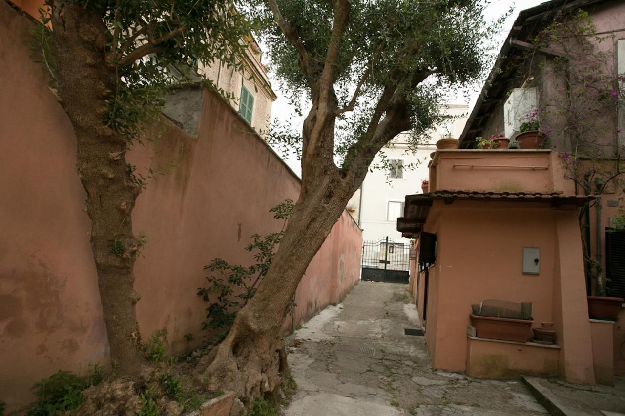 Vaticanhouse *