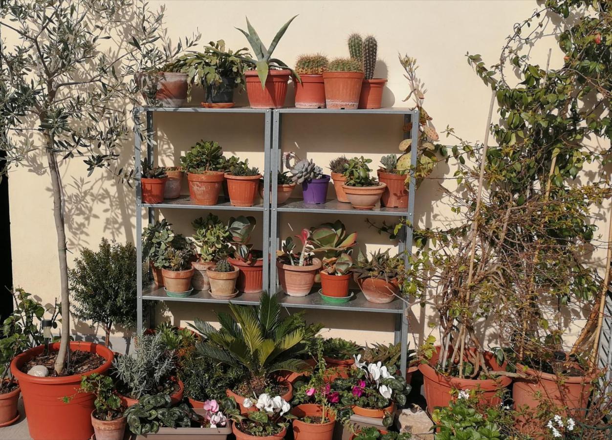 Casa Di Ele Guest house *