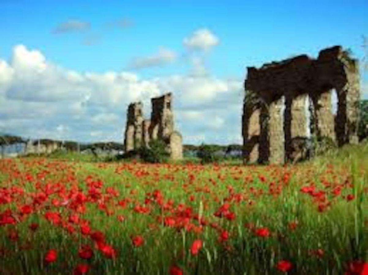 Apartment Amazing Appia Antica - Campidoglio Rom
