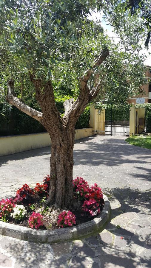 Orsini