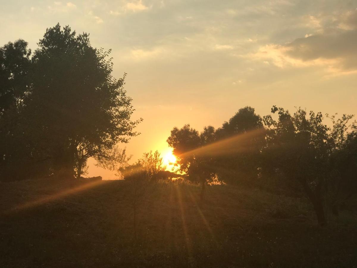 L Dei Sogni Nel Parco * Roma