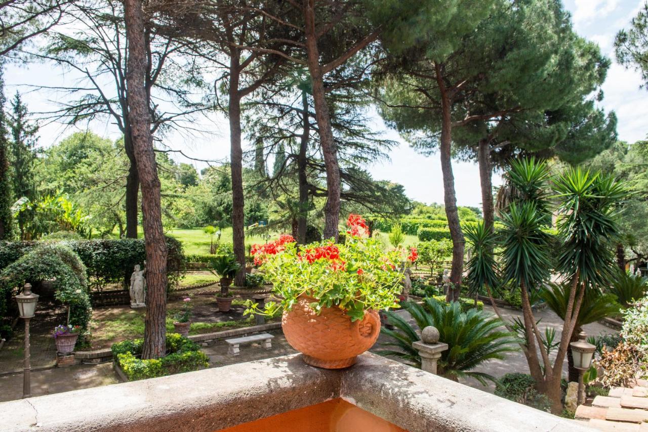 Villaer Anaida *