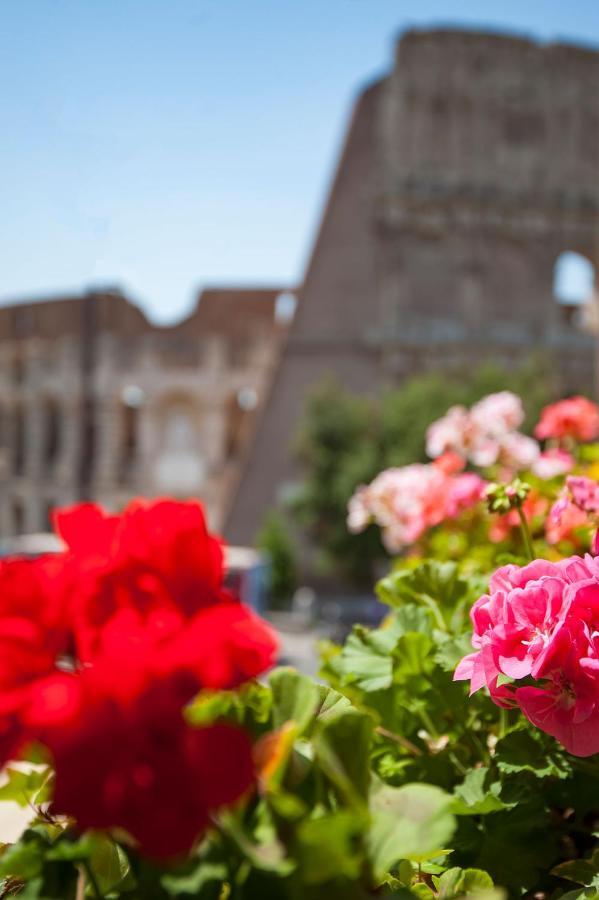 Royal House Roma