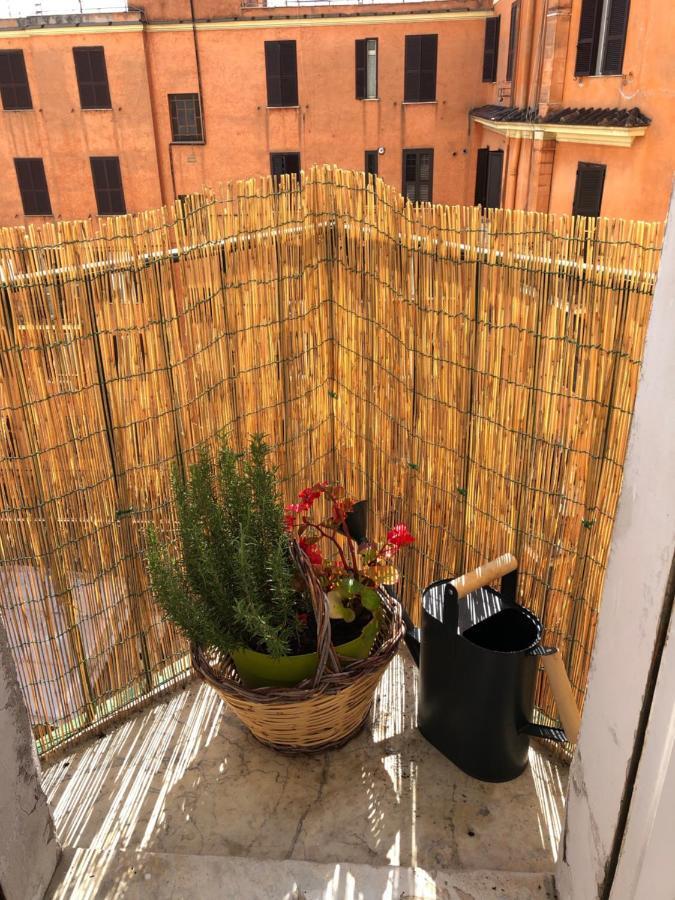 Cozy * Roma