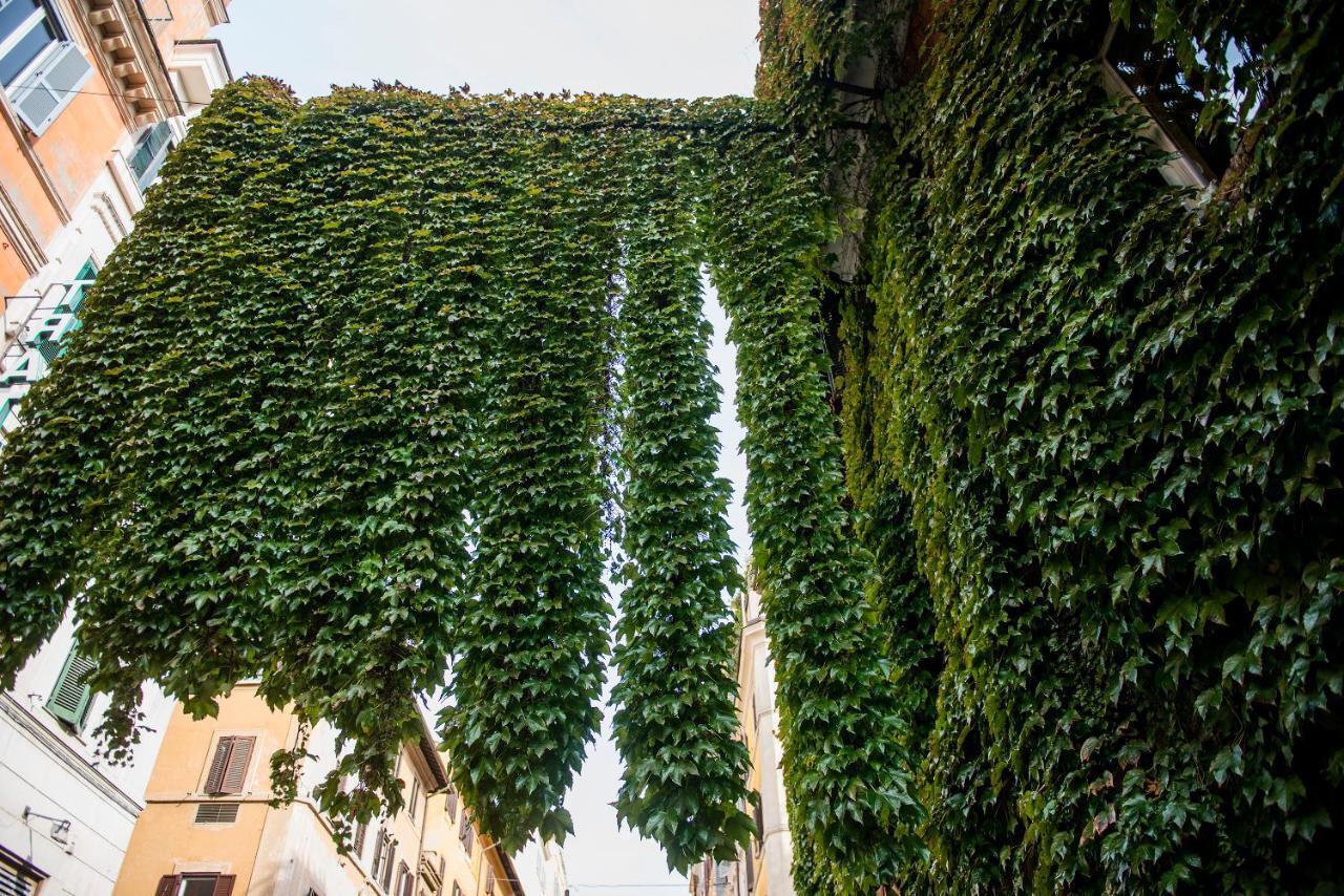 Appartamento Colosseum/panisperna Nina With Terrace