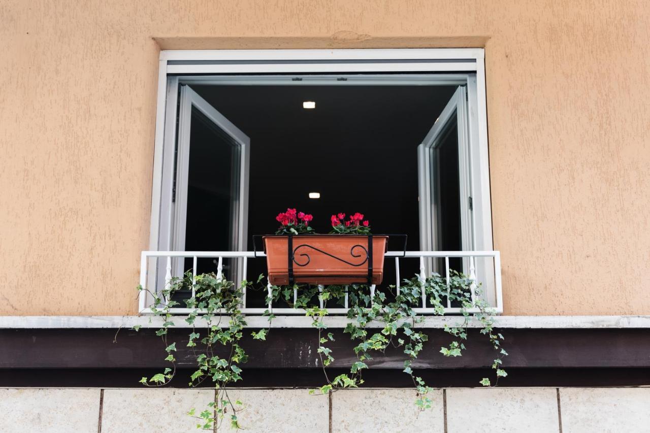 Ziani Vatican Boutique Affittacamere