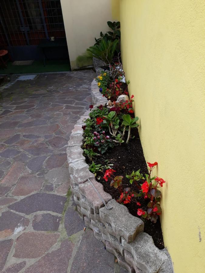Flowery House