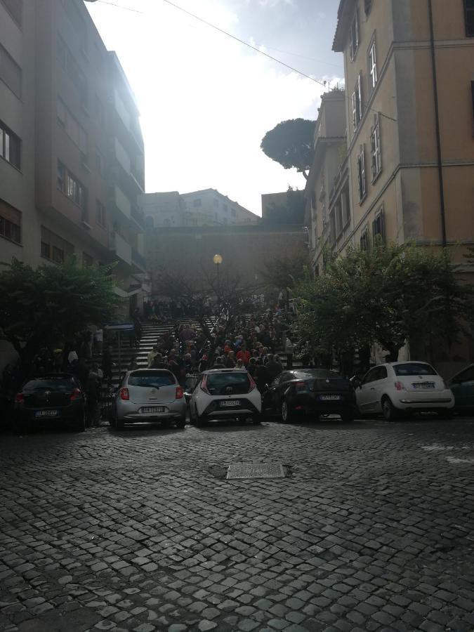 Domus Vatican Museum * Roma