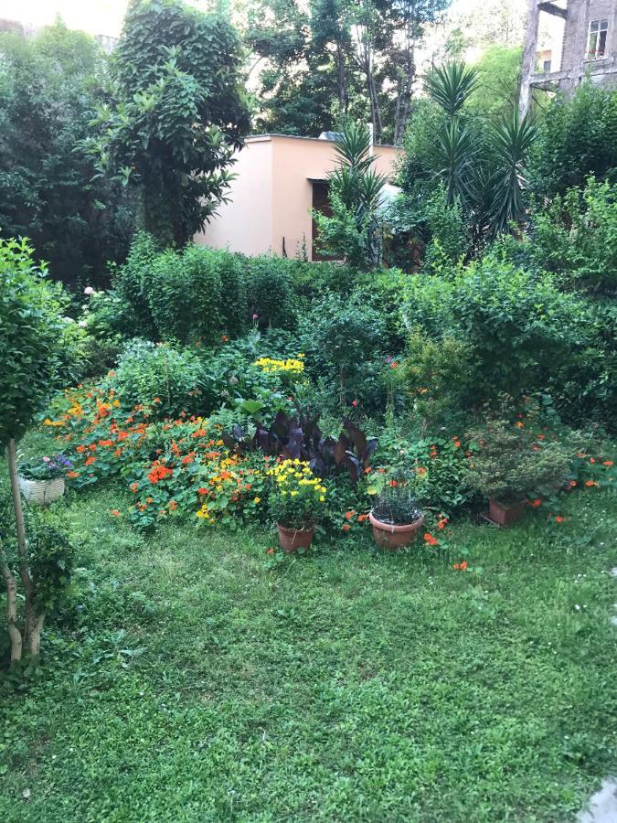 Cris - Close To Vatican - Centre&stadiumarea Apartment