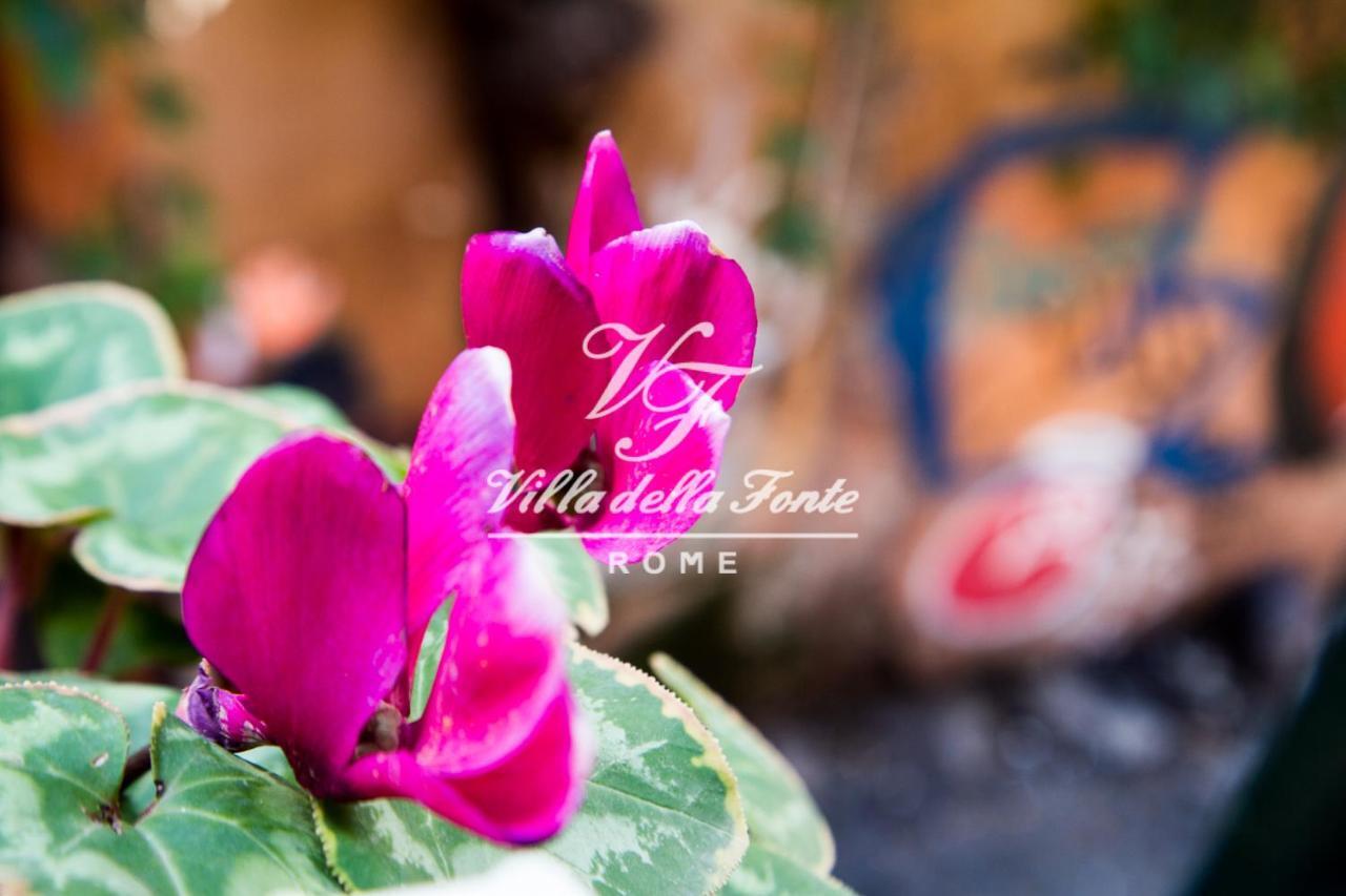 Bed & Breakfast Della Fonte Roma