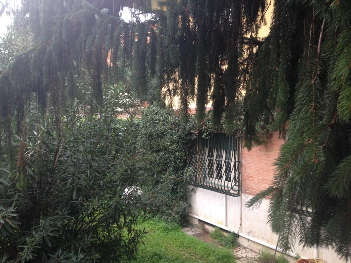 A Few Steps From Ada 8 Roma