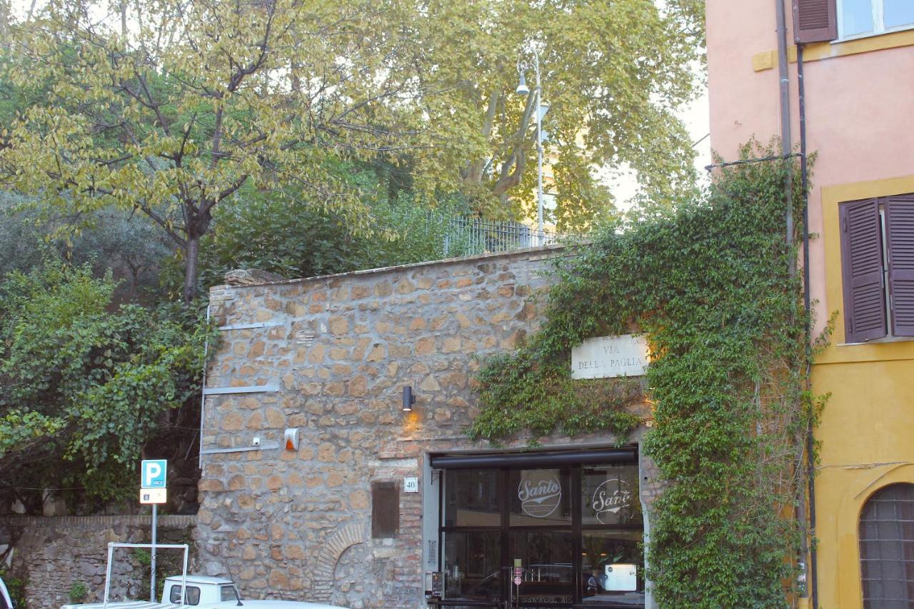 Masi
