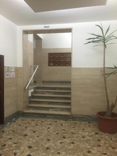 Le Vibrazioni Rom