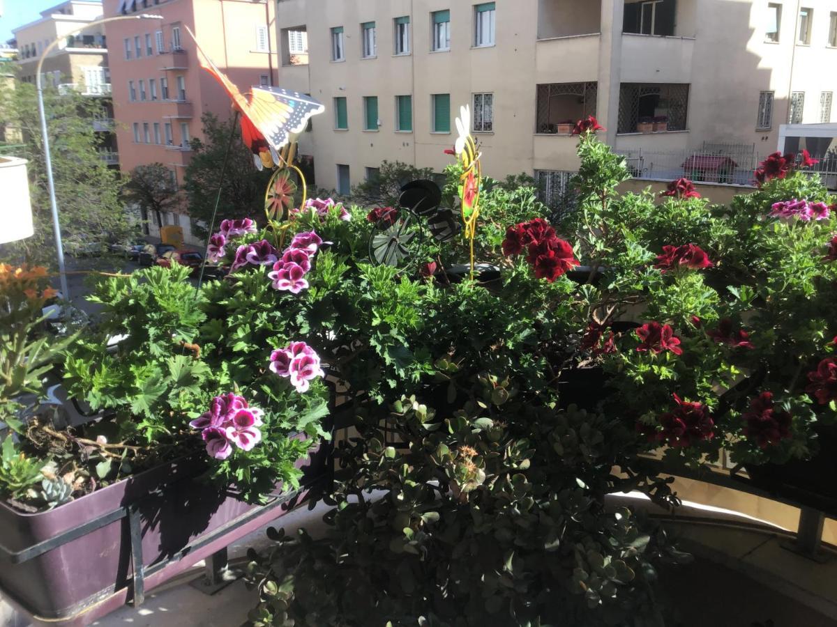 Residenza Il Magnifico Affittacamere Roma