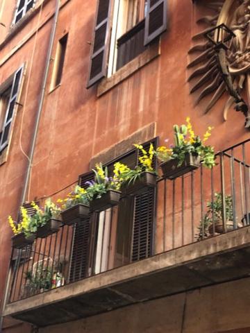 Charme Luxury Flat Campo Dei Fiori Appartamento Roma