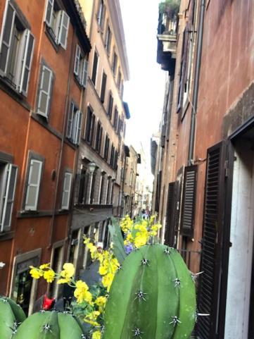 Charme Luxury Flat Campo Dei Fiori Appartamento *