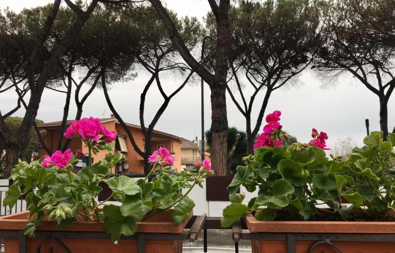 Aquarius * Rome