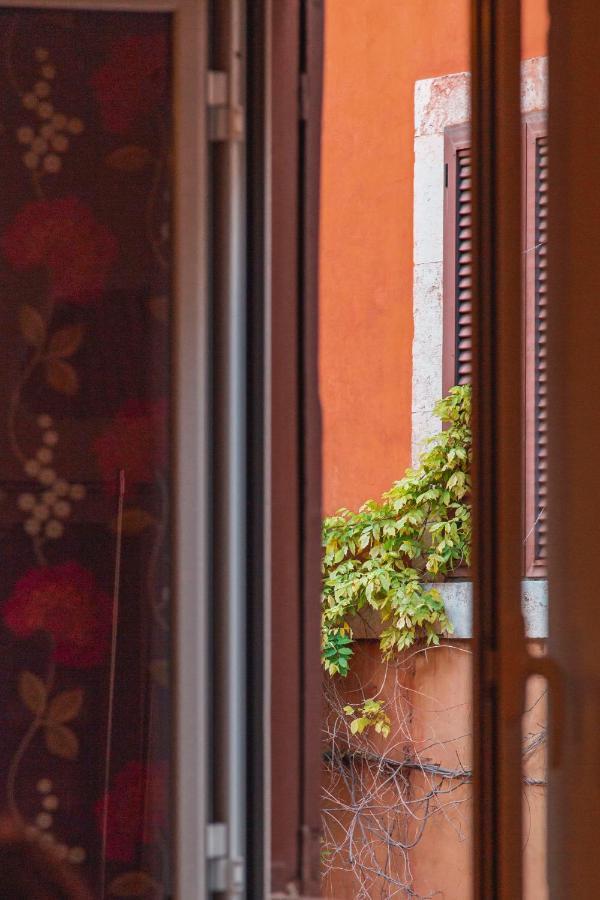 Trasteverehome - Paglia House Of 17Century In Trastevere Apartment *