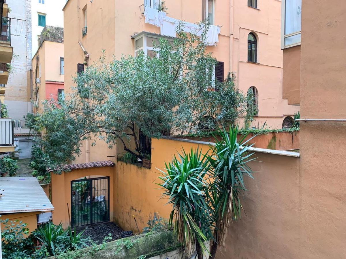 Guest house Magic Double Rome
