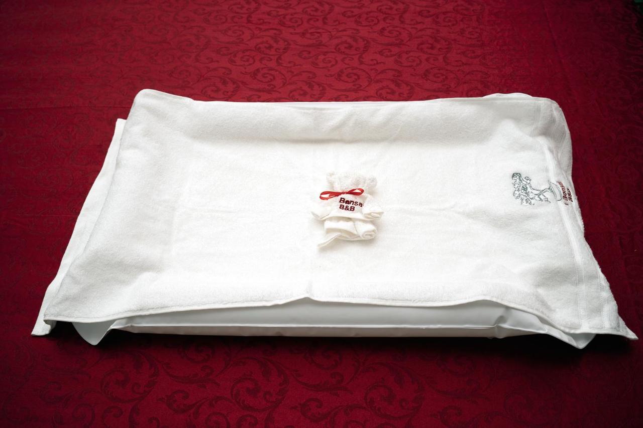 Bed & Breakfast Il Bonsai Roma