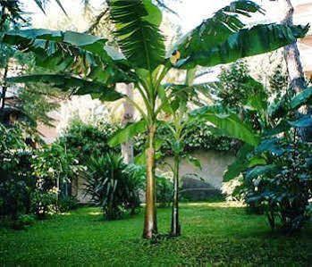 Il Giardino Di Giulia 2 3* Rom