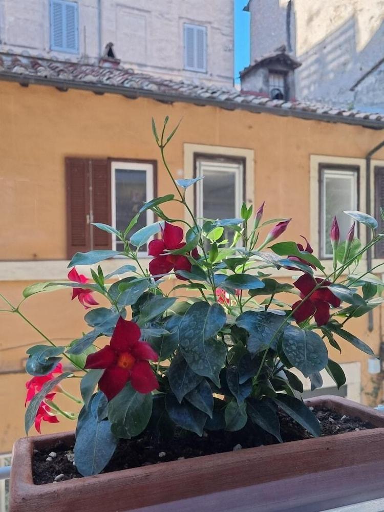 Gjestgiverier Town House Spagna 2*