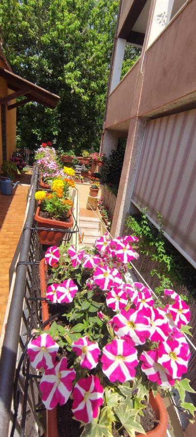 Apartamento Elisa E Carla House Beautiful On The Cassia *