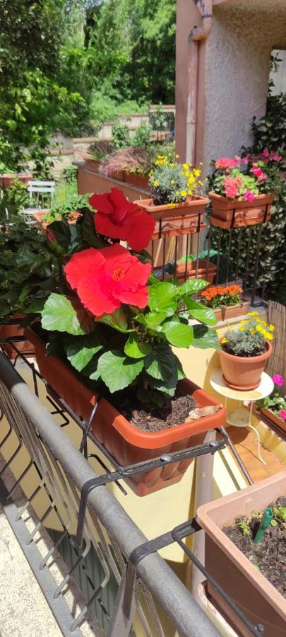 Apartamento Elisa E Carla House Beautiful On The Cassia Roma