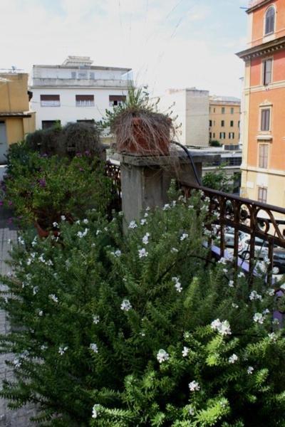 Hotel Eleven Roma