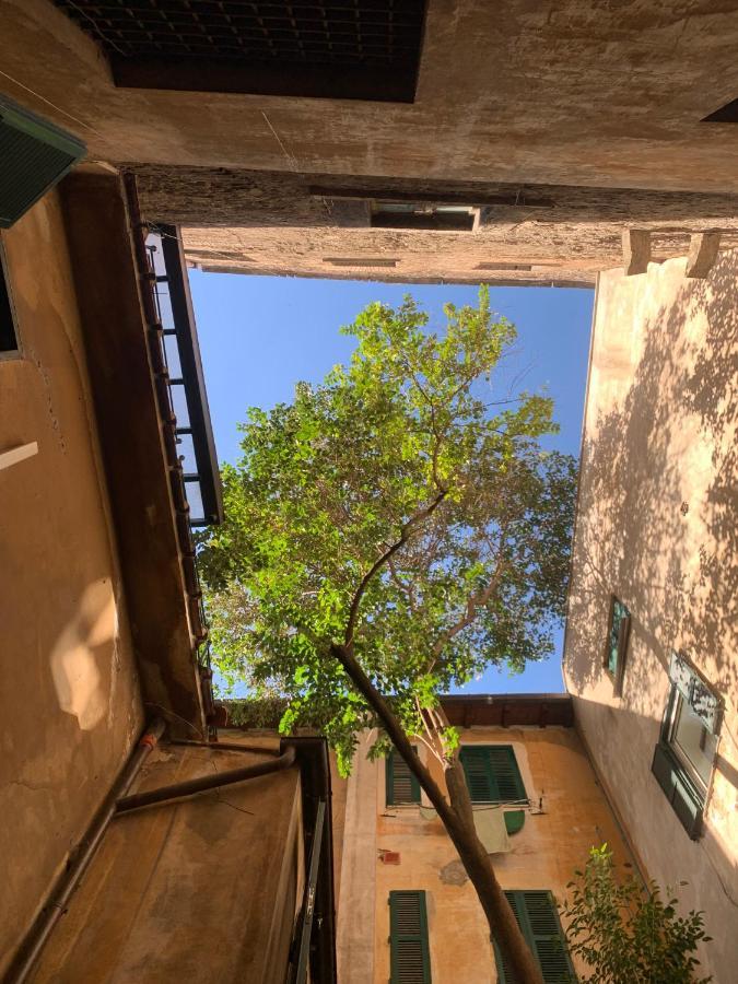 Apartamento Navona *