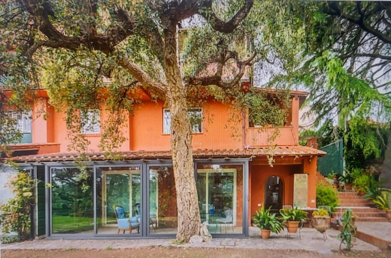 Leilighet Cassia, Luminoso Open Space Nel , Casa Dei Leoni