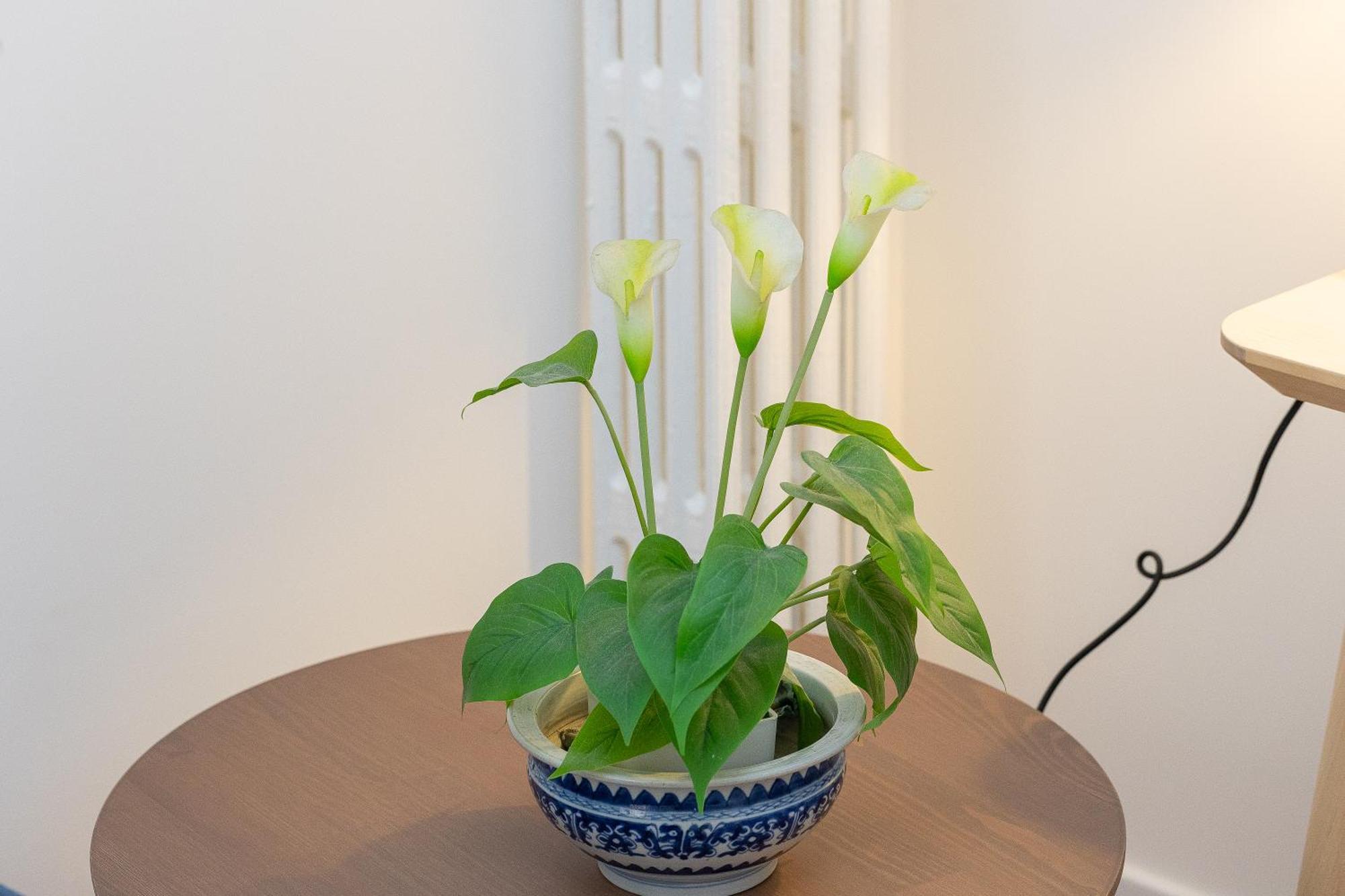 Faleria By In Apartment *