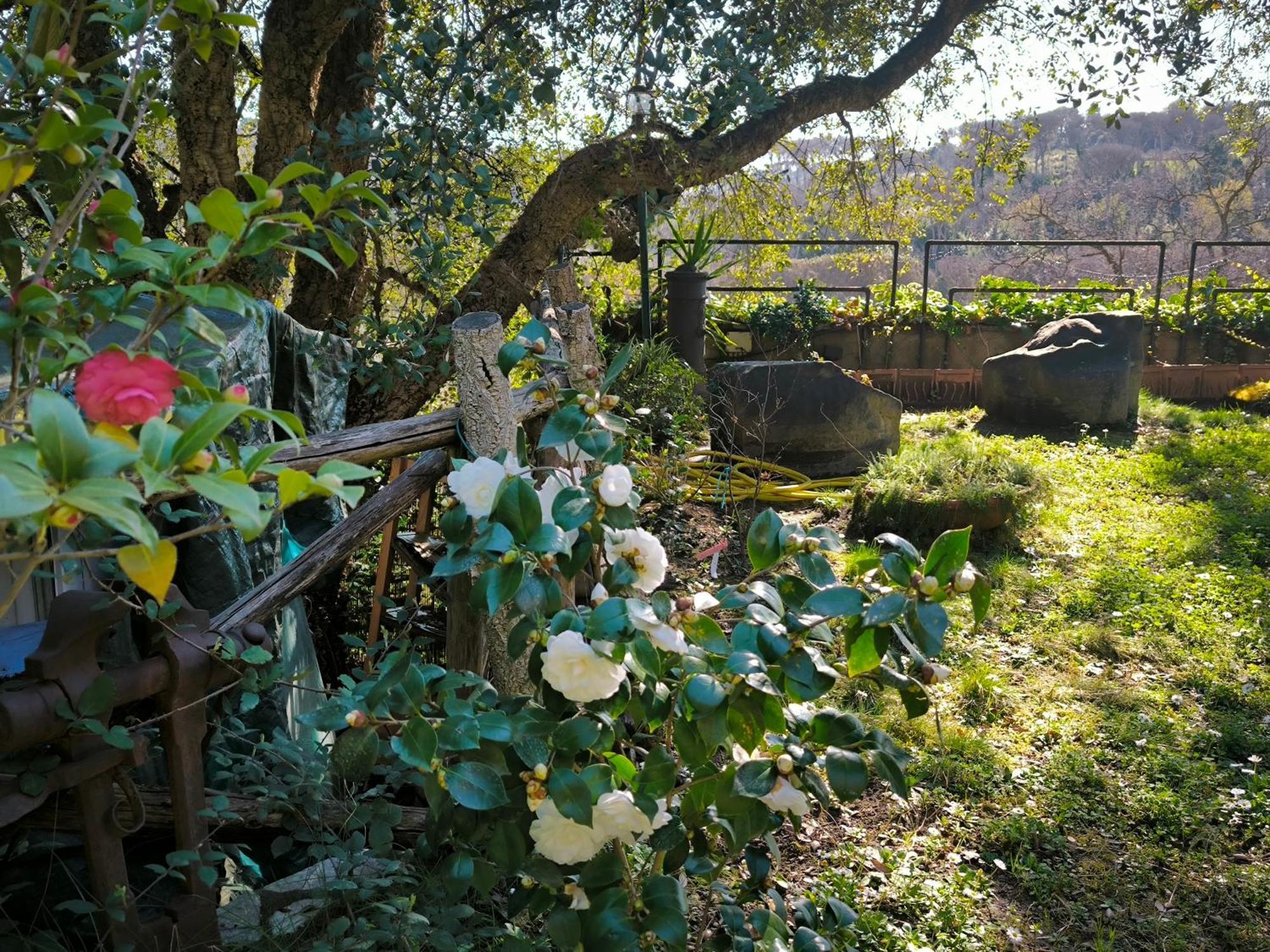 Cassia, Luminoso Open Space Nel , Casa Dei Leoni Leilighet Roma